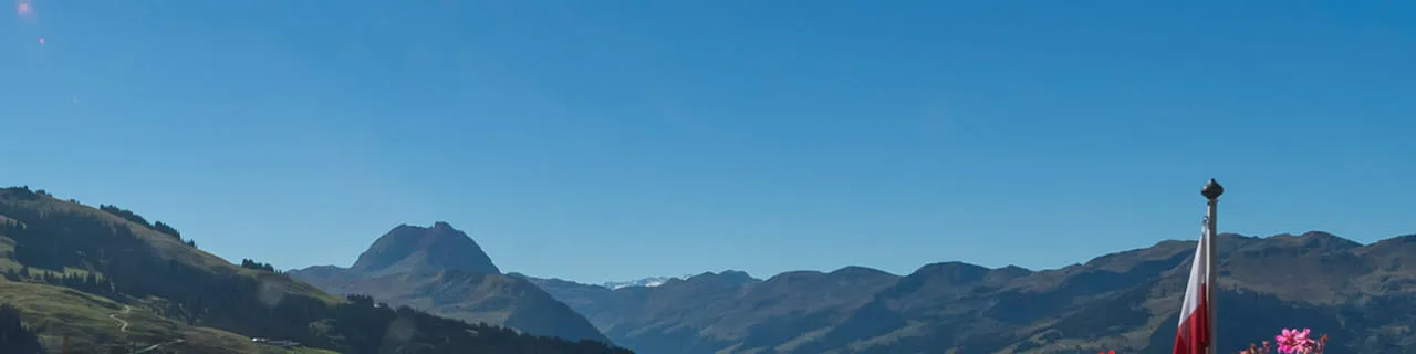 Sommerpanorama der Kitzbüheler Alpen an der OchsAlm